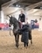 Sandy McLean claims victory in the UNIBED – High Performance Equine Bedding Winter Grades B and C qualifier at Arena UK